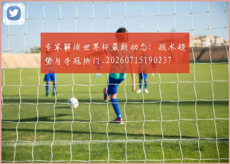 专家解读世界杯最新动态：战术趋势与夺冠热门_20260715190237