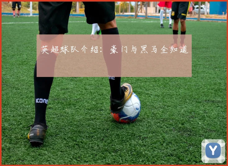 英超球队介绍：豪门与黑马全知道